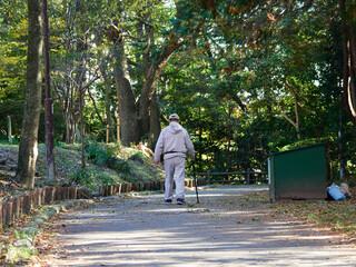 秋の公園の散策道で散歩するシニア男性の姿