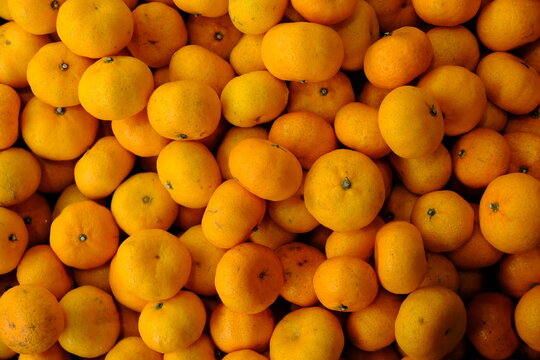 The mandarin orange, also known as mandarin or mandarine, is a small citrus tree fruit. Citrus reticulata. pile of oranges in the fruit shop. jeruk Medan. 