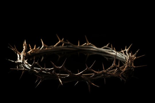 Mysterious Crown of Thorns Close-Up on Black Background