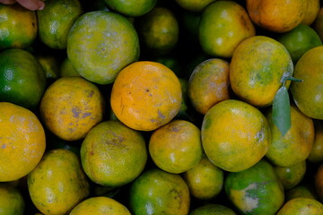The mandarin orange, also known as mandarin or mandarine, is a small citrus tree fruit. Citrus reticulata. pile of oranges in the fruit shop. jeruk Medan. 