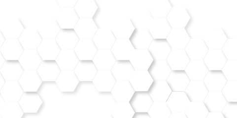 Abstract background with hexagon, modern abstract vector polygonal pattern. Futuristic abstract honeycomb technology white background. Luxury white hexagon pattern.