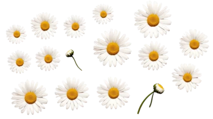 Gordijnen Set of daisies isolated in PNG file, transparent background. © venusvi