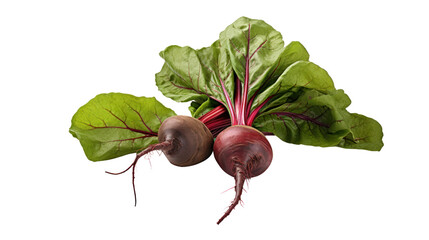 Beetroot with leaves nearby Isolated on transparent background PNG file.