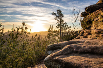 Landscape shot on a sandstone rock in the forest. Morning mood at sunrise at a viewpoint. A small tree and a summit cross stand on the Rötzenfels in the Palatinate Forest, Germany - obrazy, fototapety, plakaty