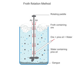 Froth flotation, a mineral separation technique, relies on the selective attachment of air bubbles to hydrophobic particles, lifting them to the surface for collection. Metallurgy concept.