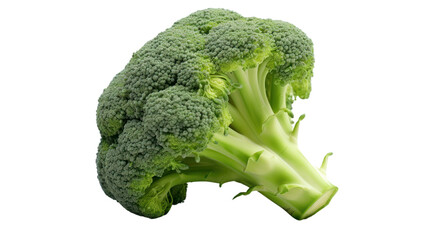 Broccoli isolated on clear background. PNG file.
