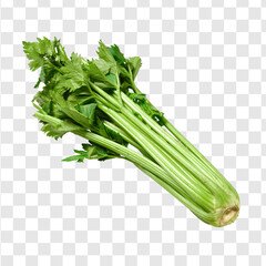 fresh green celery
