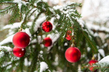 Red baubles on a snow-covered Christmas tree outdoors