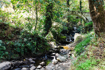 travel to Georgia - creek and Mirveti Arch Bridge (bridge of Queen Tamar in Mirveti) in Adjara on autumn day. The bridge was probably built in the 11th-13th centuries