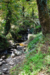 travel to Georgia - Mirveti Arch Bridge over ravine (bridge of Queen Tamar in Mirveti) in Adjara on autumn day. The bridge was probably built in the 11th-13th centuries