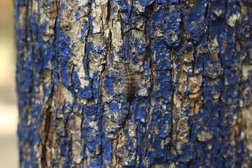 Obraz premium blue texture