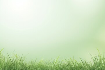 Fototapeta premium Textured Grass mockup background. Sunny day. Generate Ai