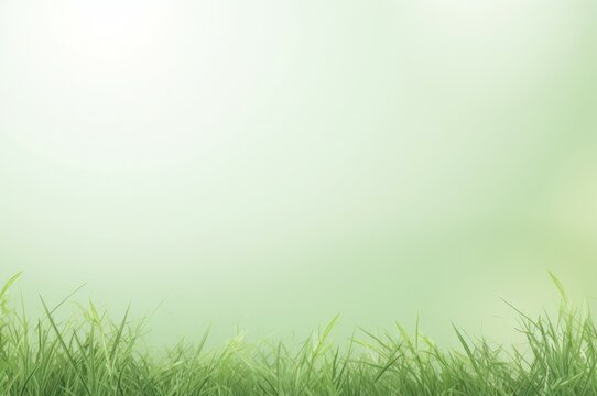 Textured Grass mockup background. Sunny day. Generate Ai