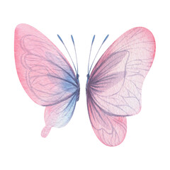 Butterflies are pink, blue, lilac, flying, delicate with wings and splashes of paint. Hand drawn watercolor illustration. Set of isolated elements on a white background, for design