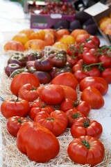 Nice. French market. Tomatoes. Tomato background. Tomatoes sold in the fresh market.