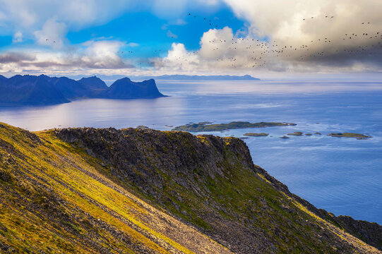 View from the Husfjellet Mountain on Senja Island in northern Norway over surrounding fjords and mountains with a flock of birds in the sky.