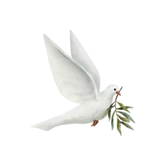 Fotobehang Dove of Peace with olive tree twig watercolor illustration isolated on white background. White flying pigeon bird for pacific symbols designs © Elena Malgina