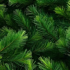 Green Christmas pine twigs.