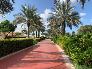 Fototapeta premium Running track in Al Barsha Pond Park, Dubai, United Arab Emirates