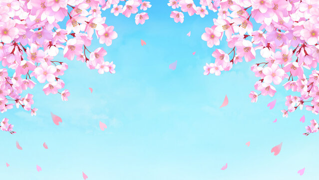 桜と青空の背景素材　桜吹雪　お花見　入学　卒業　入園　卒園　入社　ひな祭り　ひなまつり　16:9