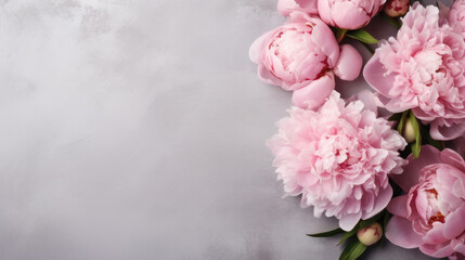 Background of pink peonies. Flowers on light gray background. Top view. Copy space. Mockup.