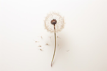 A single dandelion on a white background created with generative AI technology