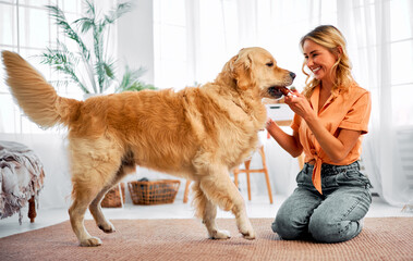 Best friend. Delighted woman with blond hair enjoying fun games with her beloved golden retriever....