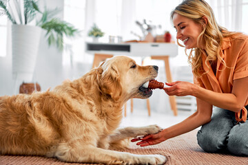 Shared moments. Side view of playful fluffy dog biting new toy held by happy owner in living room. Smiling young woman in casual clothes sitting on floor with pet best friend. - obrazy, fototapety, plakaty