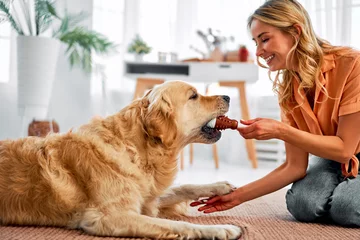 Foto op Plexiglas Shared moments. Side view of playful fluffy dog biting new toy held by happy owner in living room. Smiling young woman in casual clothes sitting on floor with pet best friend. © HBS