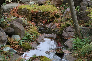 秋の鎌倉。一条恵観(ｴｶﾝ)山荘の紅葉。土塀に囲まれた中庭。