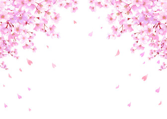 桜と舞い散る花びらのフレーム　桜吹雪　飾り枠　素材　お花見　入学　卒業　入園　卒園　ひな祭り　ひなまつり　白背景　白バック - obrazy, fototapety, plakaty