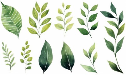 Set of watercolor green leaves elements. Collection botanical isolated on white background suitable for Wedding Invitation, save the date, thank you or greeting card, Generative AI - obrazy, fototapety, plakaty