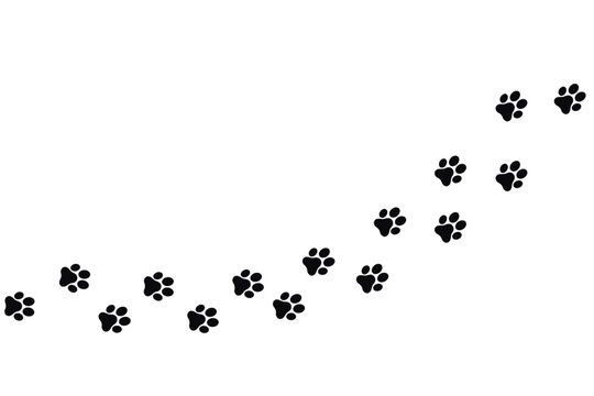 Foot trail print of Dog. Dog walk foot print. Black cat Paw Prints. Black Paw print foot trail of animal on transparent background. Paw print of Cat isolated on transparent background