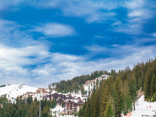 buildings in the middle of snow and fir trees. dwelling in the snowy mountains. mountain landscape in winter under blue sky