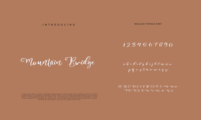 Elegant alphabet letters font and number. Classic Lettering Minimal Fashion Designs. Typography  Calligraphy modern serif fonts regular decorative vintage concept. vector illustration