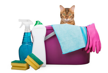 Cleaning products and tools for home cleaning.