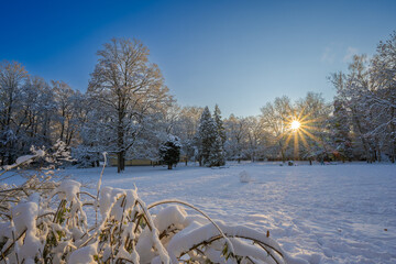 Winter wonderland in the Stadtpark of Regensburg in winter with snow on sunny day