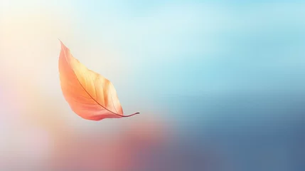 Fotobehang Single autumn leaf gently fall against vivid colorful minimalistic backdrop, copy space, little autumn leaf embodying enchanting essence of autumn and marking peaceful shift in season © TRAVELARIUM