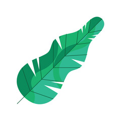 green leaf illustration