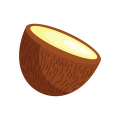 coconut slice illustration