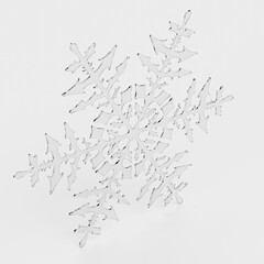 Realistic 3D Render of Snowflake