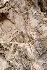 Light backdrop of a natural stone surface. Great texture for your design. Copy space.