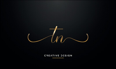Alphabet letters icon logo TN or NT