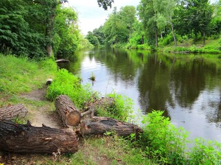 beautiful panorama of a pond with water in a green forest against the backdrop of trees without people and part of the shore with green grass in the summer afternoon
