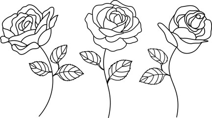 Set of decorative hand drawn roses. Flower icon. Floral decoration for valentine's day. Vector illustration.