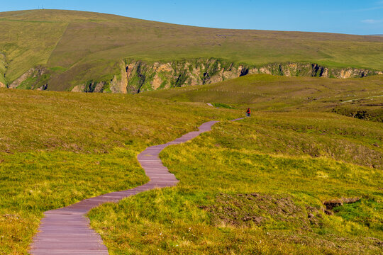 Hermaness , Shetland, UK