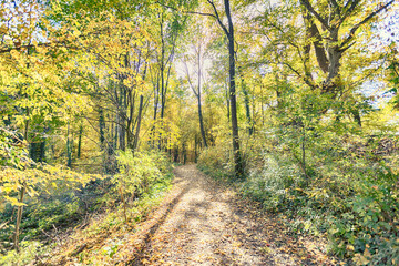 green area near Salzburg, autumn park and pond Salzachsee