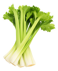 fresh celery on white