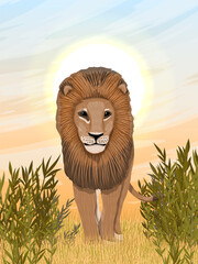 A lion are walking on the African savannah. Dry grass, shrubs and stones. African wild predators. Realistic vector vertical landscape