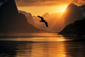 Sea bird flying over the silhouetted mountains with the golden light of sunrise shining on the Western Fjords of Kalaallit Nunaat; West Greenland, Greenland - obrazy, fototapety, plakaty